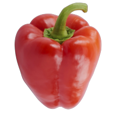 Paprika rood